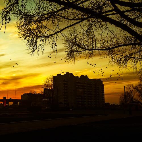 Photo #4607550