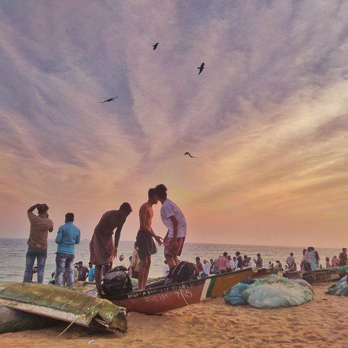 Photo #4607600