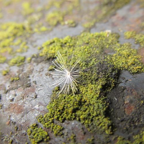 Photo #4607743