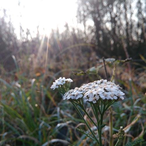 Photo #4607744
