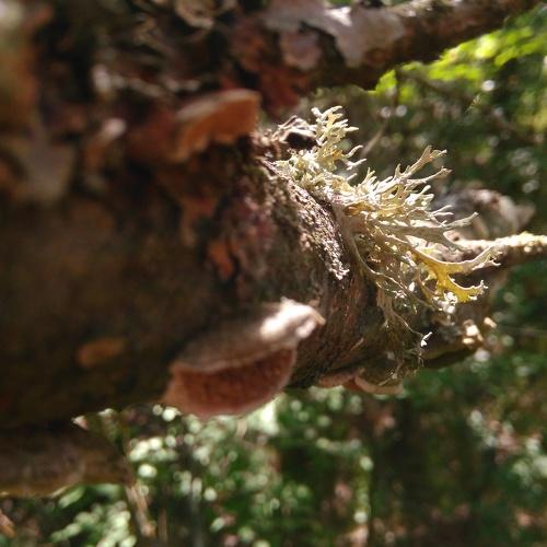Photo #4607924