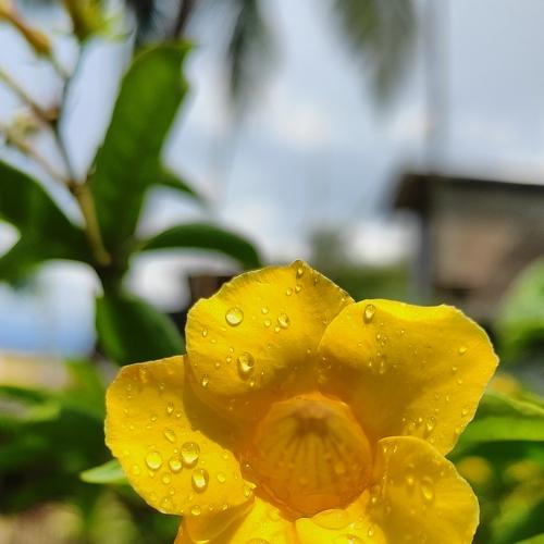 Photo #4608028