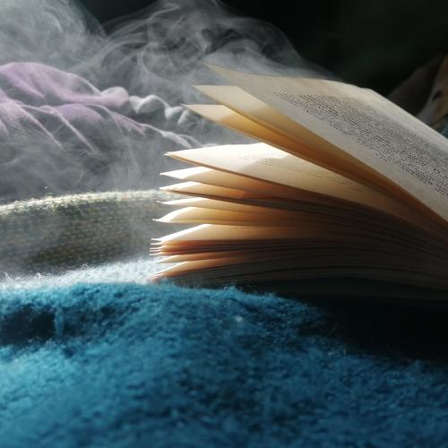 Photo #4608913