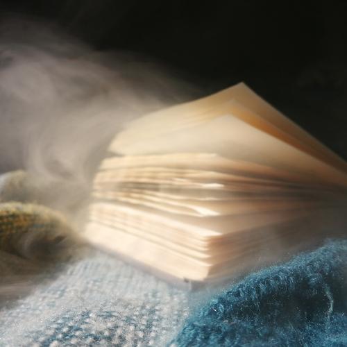 Photo #4608916