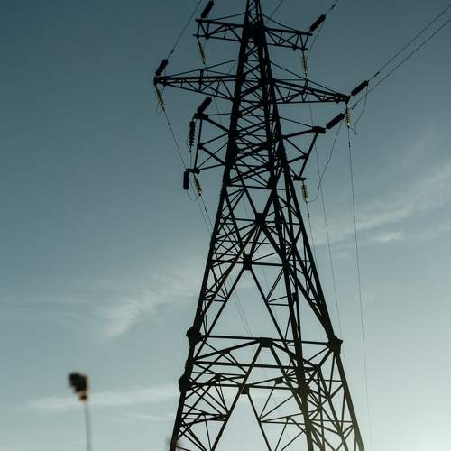 Photo #4609142