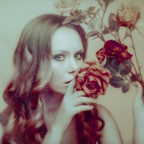 Photo #4609794