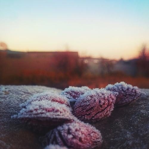 Память