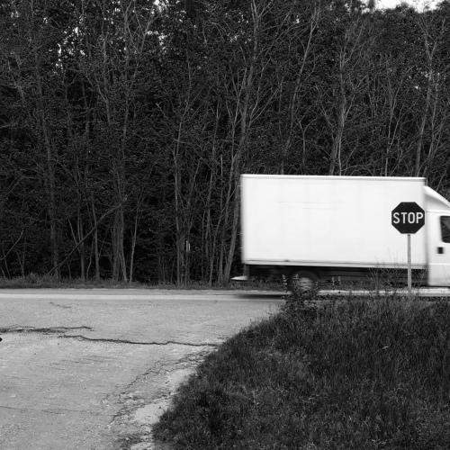 Photo #4610519