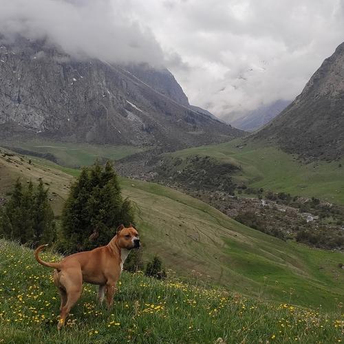 Photo #4610846