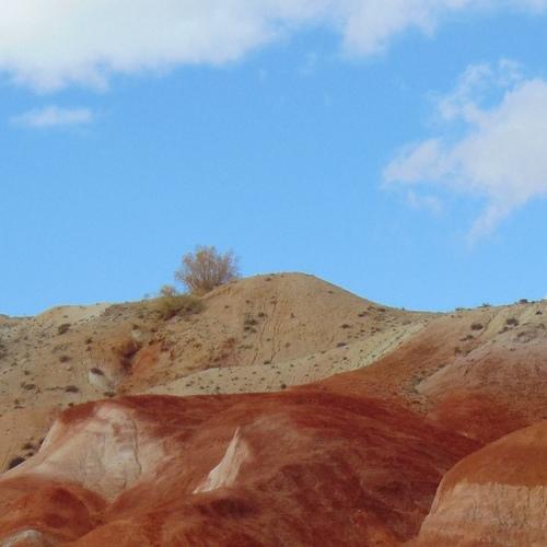 Photo #4612032