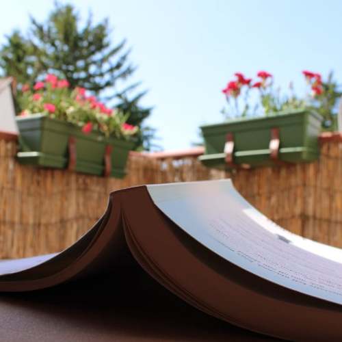 Photo #4612499