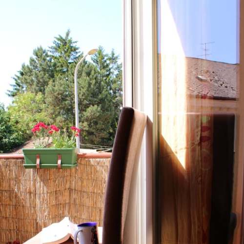 Photo #4612502