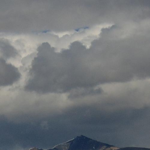 Photo #4612611