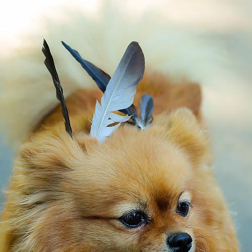 Photo #4612981