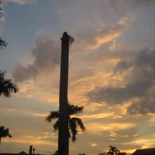 Photo #4613062