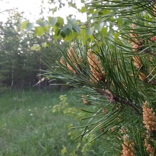 Photo #4613149