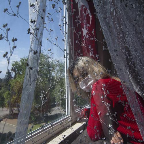 Photo #4613188