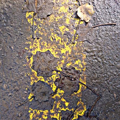 Photo #4613256