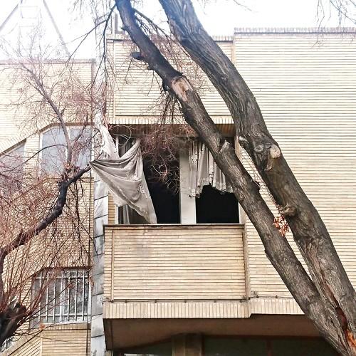 Photo #4613262