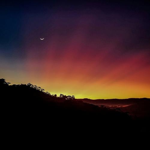 Photo #4613352