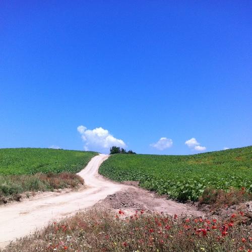 Photo #4613448