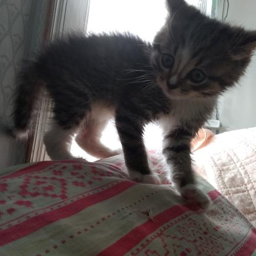 Photo #4613552