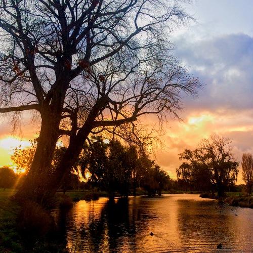 Photo #4614071