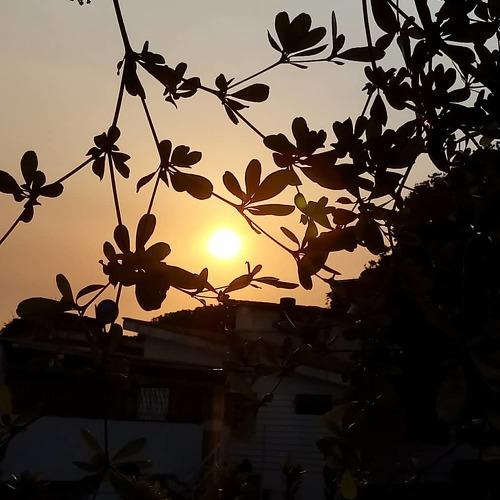 atardecer bajo las sombras