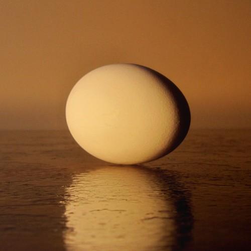 Photo #4614574