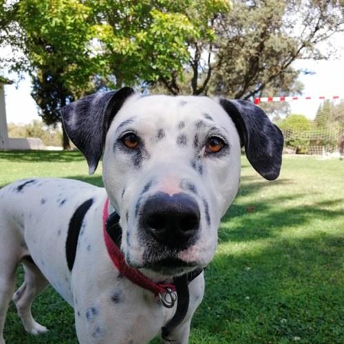 Photo #4614789