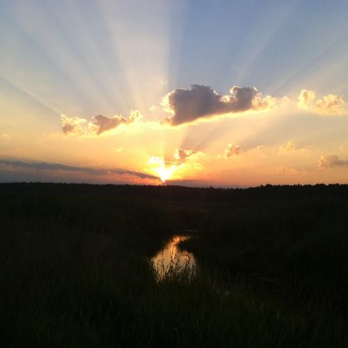 Photo #4614886