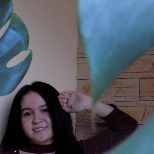 Photo #4615420