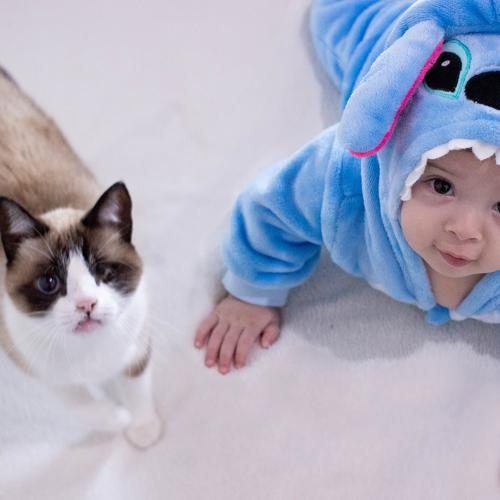 Photo #4616804
