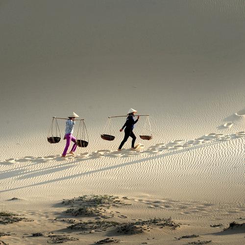 Photo #4616968
