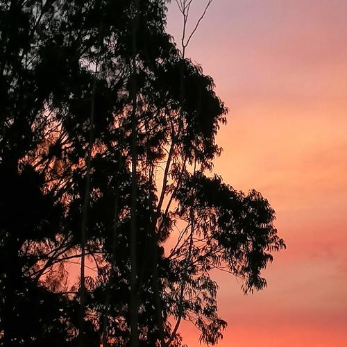 Sunset in Costa Rica