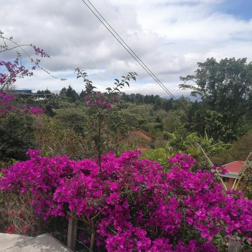 Photo #4617076