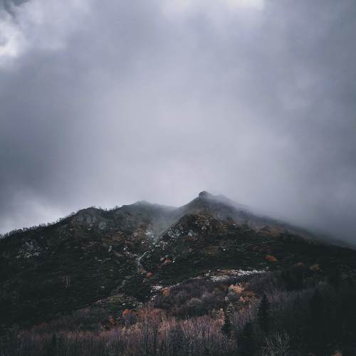 Photo #4617253