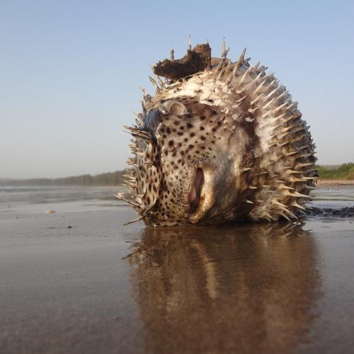 Photo #4617416