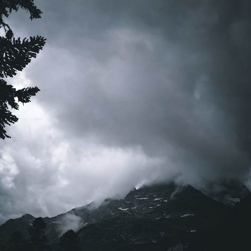 Photo #4617440