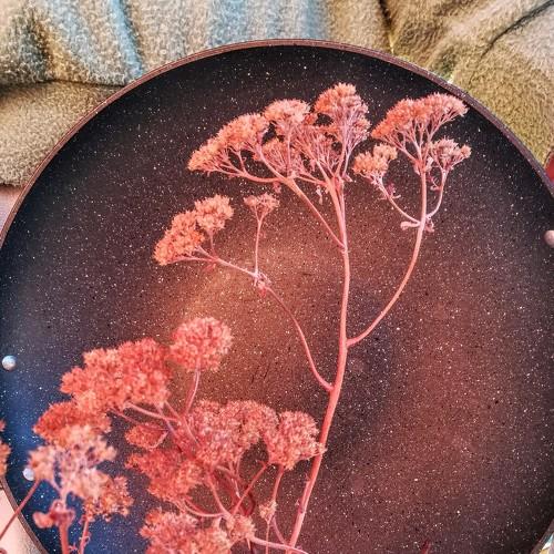 Photo #4617810