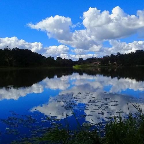 Photo #4617839