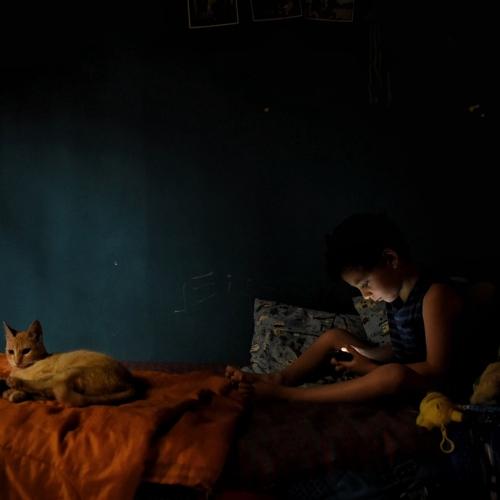 Photo #4618634