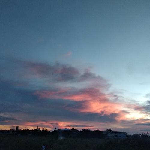 Photo #4619201
