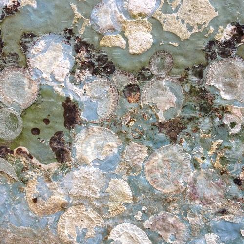 Photo #4619206