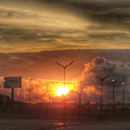 Photo #4619289