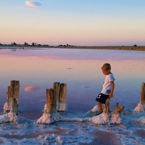 Photo #4619513