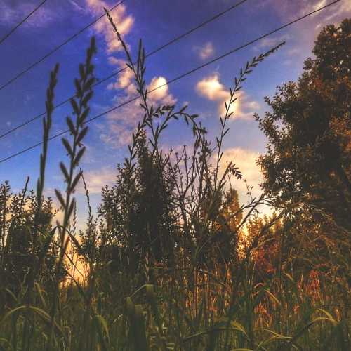 Photo #4620305