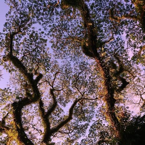 Photo #4620870