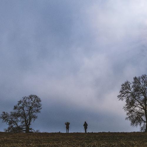 Photo #4621245