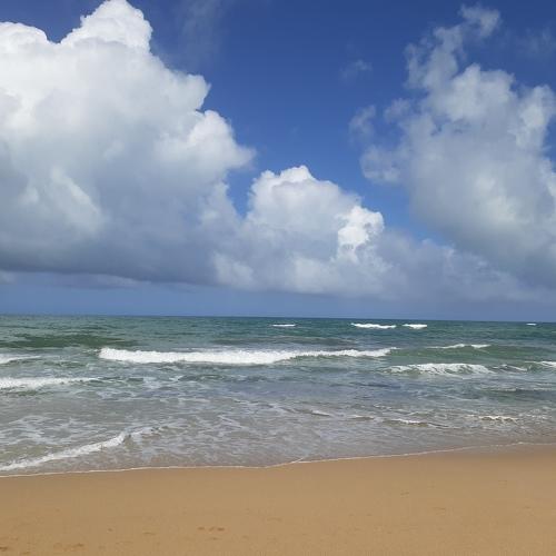 Simple sea